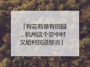 有花有草有田园，杭州这个景中村又给村民送惊喜