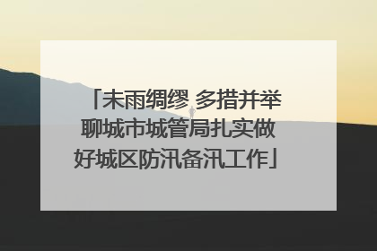 未雨绸缪 多措并举 聊城市城管局扎实做好城区防汛备汛工作