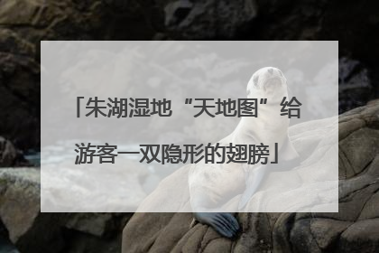 朱湖湿地“天地图”给游客一双隐形的翅膀