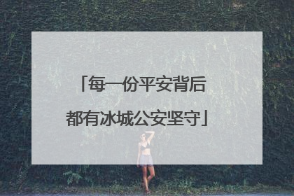 每一份平安背后 都有冰城公安坚守