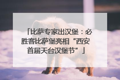 比萨专家出汉堡：必胜客比萨堡亮相“西安首届天台汉堡节”