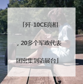 歼-10CE亮相，20多个军政代表团密集到访展台