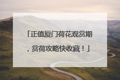 正值厦门荷花观赏期，赏荷攻略快收藏！