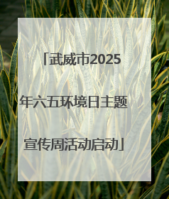 武威市2025年六五环境日主题宣传周活动启动