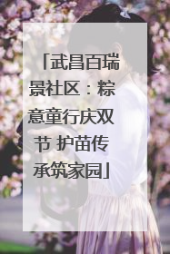 武昌百瑞景社区：粽意童行庆双节 护苗传承筑家园