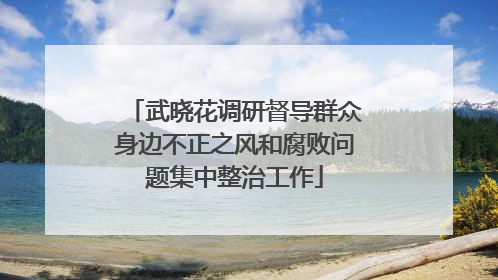 武晓花调研督导群众身边不正之风和腐败问题集中整治工作