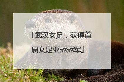 武汉女足，获得首届女足亚冠冠军