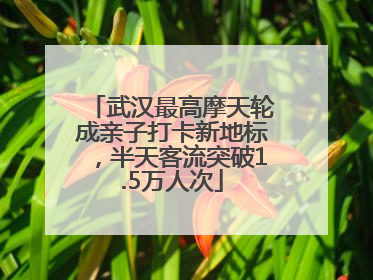 武汉最高摩天轮成亲子打卡新地标，半天客流突破1.5万人次