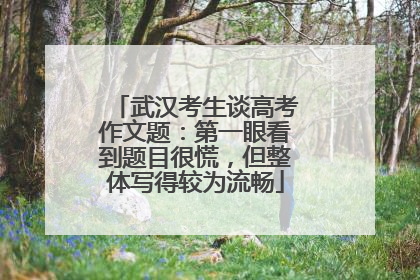 武汉考生谈高考作文题：第一眼看到题目很慌，但整体写得较为流畅