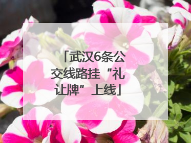 武汉6条公交线路挂“礼让牌”上线