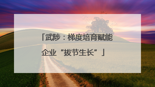 武陟：梯度培育赋能企业“拔节生长”
