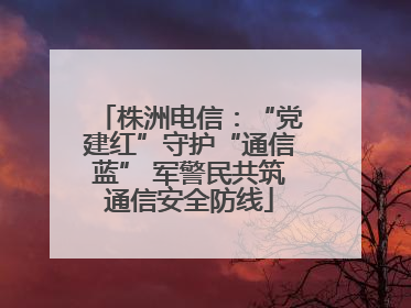 株洲电信：“党建红”守护“通信蓝” 军警民共筑通信安全防线