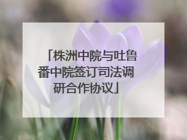 株洲中院与吐鲁番中院签订司法调研合作协议