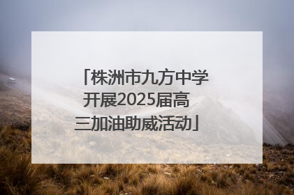 株洲市九方中学开展2025届高三加油助威活动