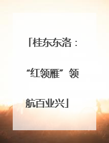 桂东东洛：“红领雁”领航百业兴