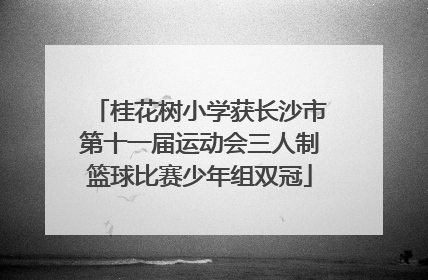 桂花树小学获长沙市第十一届运动会三人制篮球比赛少年组双冠