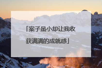 案子虽小却让我收获满满的成就感