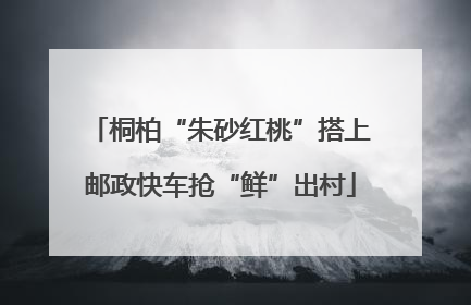 桐柏“朱砂红桃”搭上邮政快车抢“鲜”出村