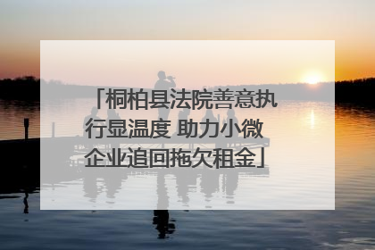 桐柏县法院善意执行显温度 助力小微企业追回拖欠租金