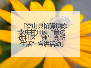 梁山县馆驿镇陈李庄村开展“普法进社区‘典’亮新生活”宣讲活动