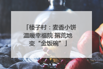 楼子村：麦香小饼温暖幸福院 撂荒地变“金饭碗”