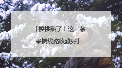 樱桃熟了！这三条采摘线路收藏好