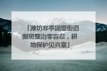 潍坊寒亭固堤街道图斑整治零容忍，耕地保护见真章