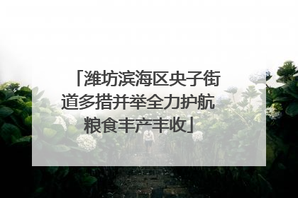 潍坊滨海区央子街道多措并举全力护航粮食丰产丰收