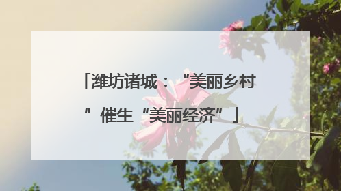 潍坊诸城：“美丽乡村”催生“美丽经济”