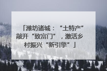 潍坊诸城：“土特产”敲开“致富门”，激活乡村振兴“新引擎”
