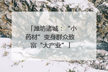 潍坊诸城：“小药材”变身群众致富“大产业”