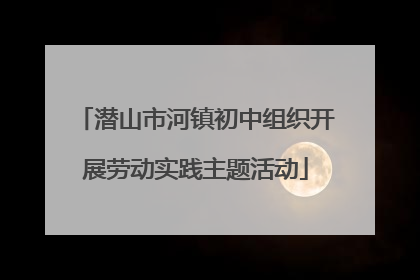 潜山市河镇初中组织开展劳动实践主题活动