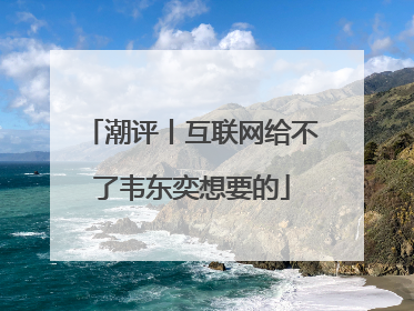 潮评丨互联网给不了韦东奕想要的