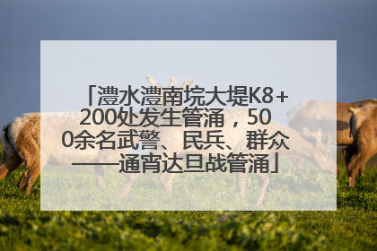 澧水澧南垸大堤K8+200处发生管涌，500余名武警、民兵、群众——通宵达旦战管涌