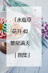 水蕴草花开 似繁星满天｜图集