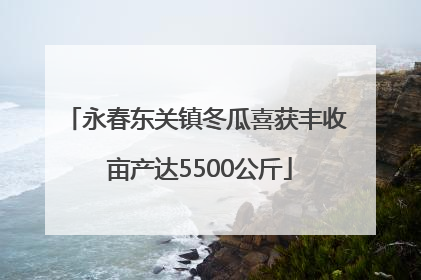 永春东关镇冬瓜喜获丰收 亩产达5500公斤