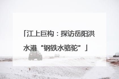 江上巨构：探访岳阳洪水港“钢铁水骆驼”