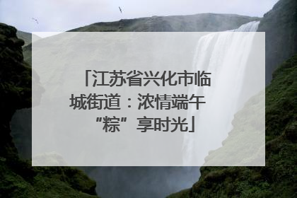 江苏省兴化市临城街道：浓情端午 “粽”享时光