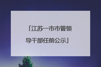 江苏一市市管领导干部任前公示
