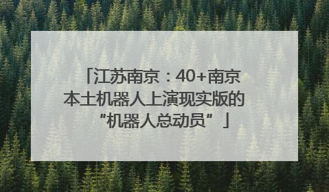 江苏南京：40+南京本土机器人上演现实版的“机器人总动员”