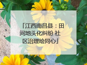 江西南昌县：田间地头化纠纷 社区治理绘同心