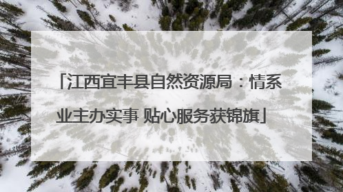 江西宜丰县自然资源局：情系业主办实事 贴心服务获锦旗