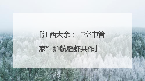 江西大余：“空中管家”护航稻虾共作