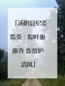 汤阴县纪委监委：粽叶裹廉香 监督护清风