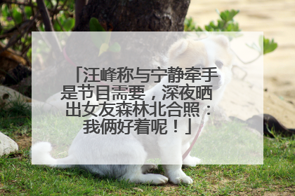 汪峰称与宁静牵手是节目需要，深夜晒出女友森林北合照：我俩好着呢！