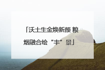 沃土生金焕新颜 粮烟融合绘“丰”景
