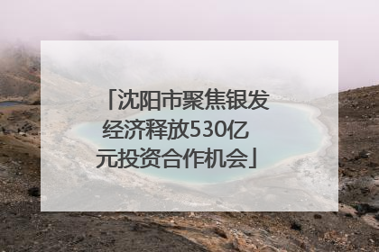 沈阳市聚焦银发经济释放530亿元投资合作机会