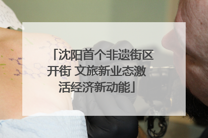 沈阳首个非遗街区开街 文旅新业态激活经济新动能
