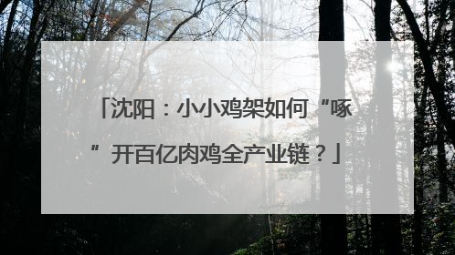 沈阳：小小鸡架如何“啄”开百亿肉鸡全产业链？