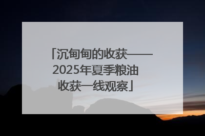 沉甸甸的收获——2025年夏季粮油收获一线观察